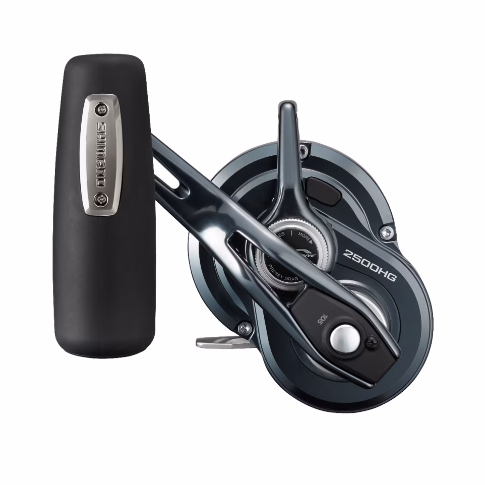 SHIMANO OCEA JIGGER LD REEL - Image 6