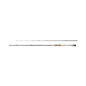 SHIMANO INSURGENCE CASTING INSHORE ROD