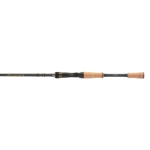 SHIMANO INTENZA CASTING A ROD